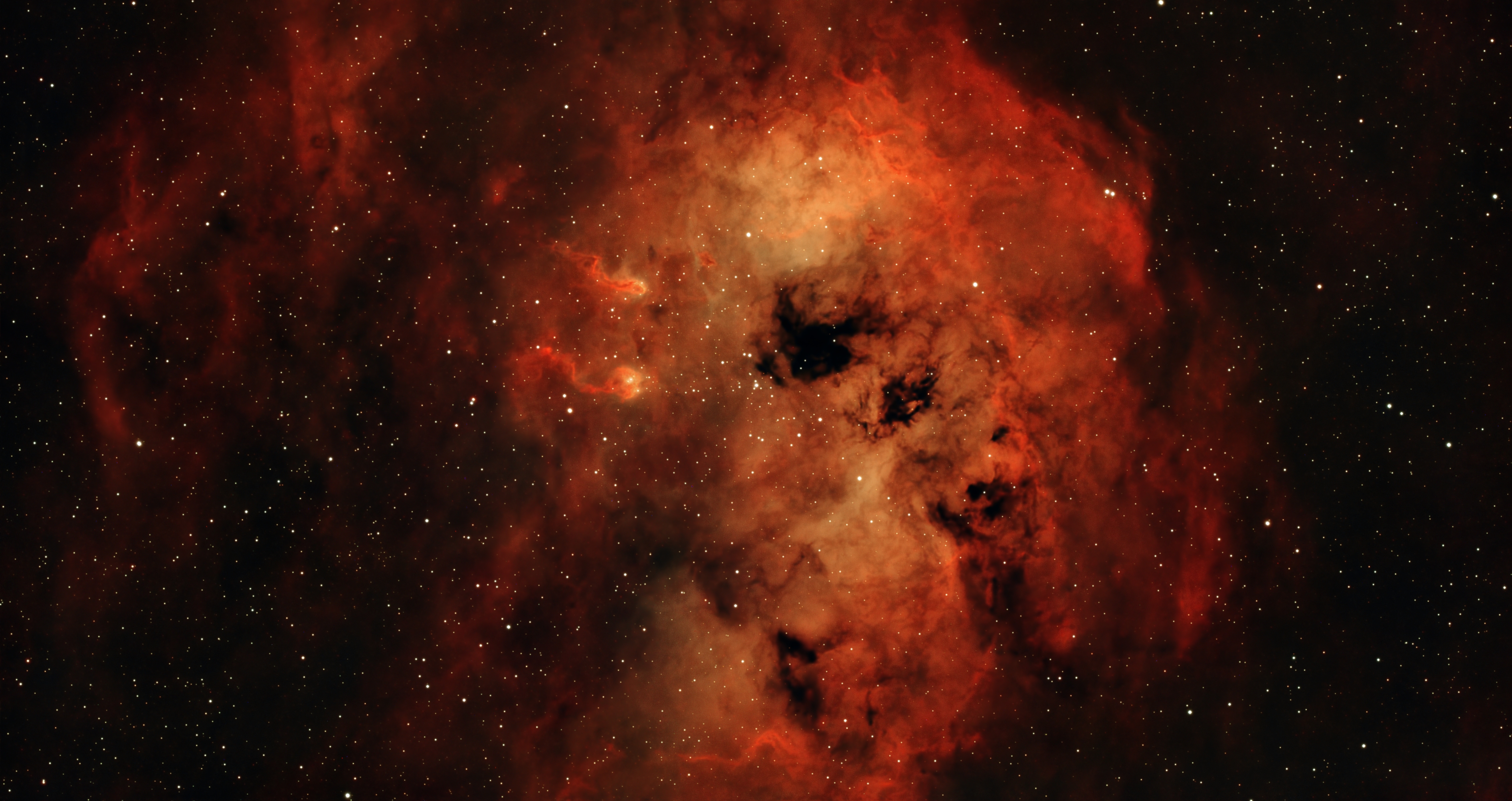 Tadpoles Nebula