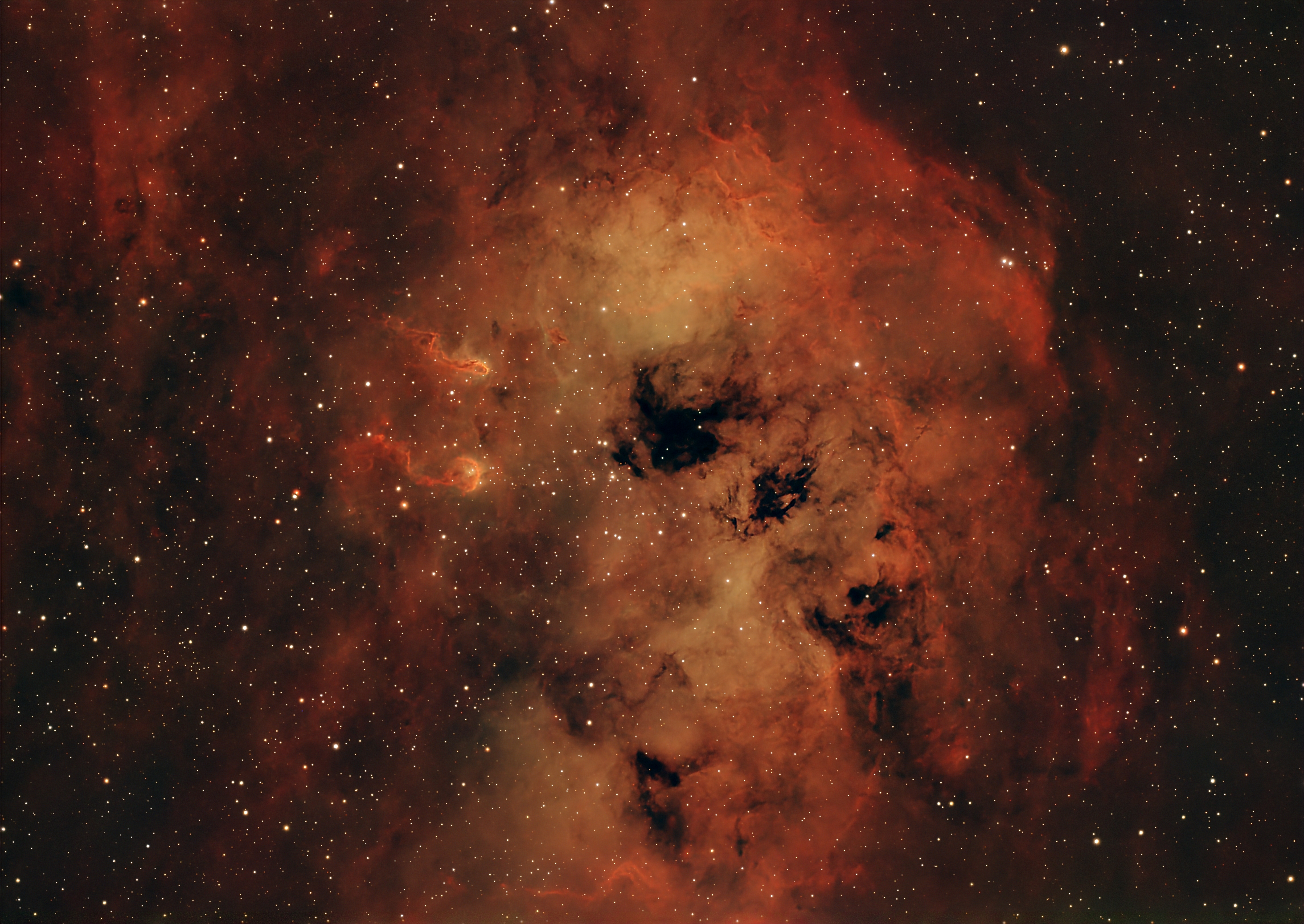 Tadpoles Nebula